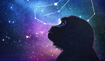 中國科學(xué)家聯(lián)合發(fā)布介觀腦圖譜系列成果實(shí)現(xiàn)從嚙齒類到靈長類大腦的跨越